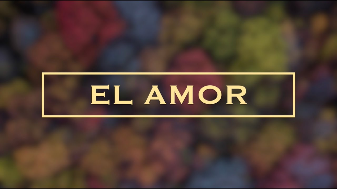 NICO - El amor (ft. Elizabeth)