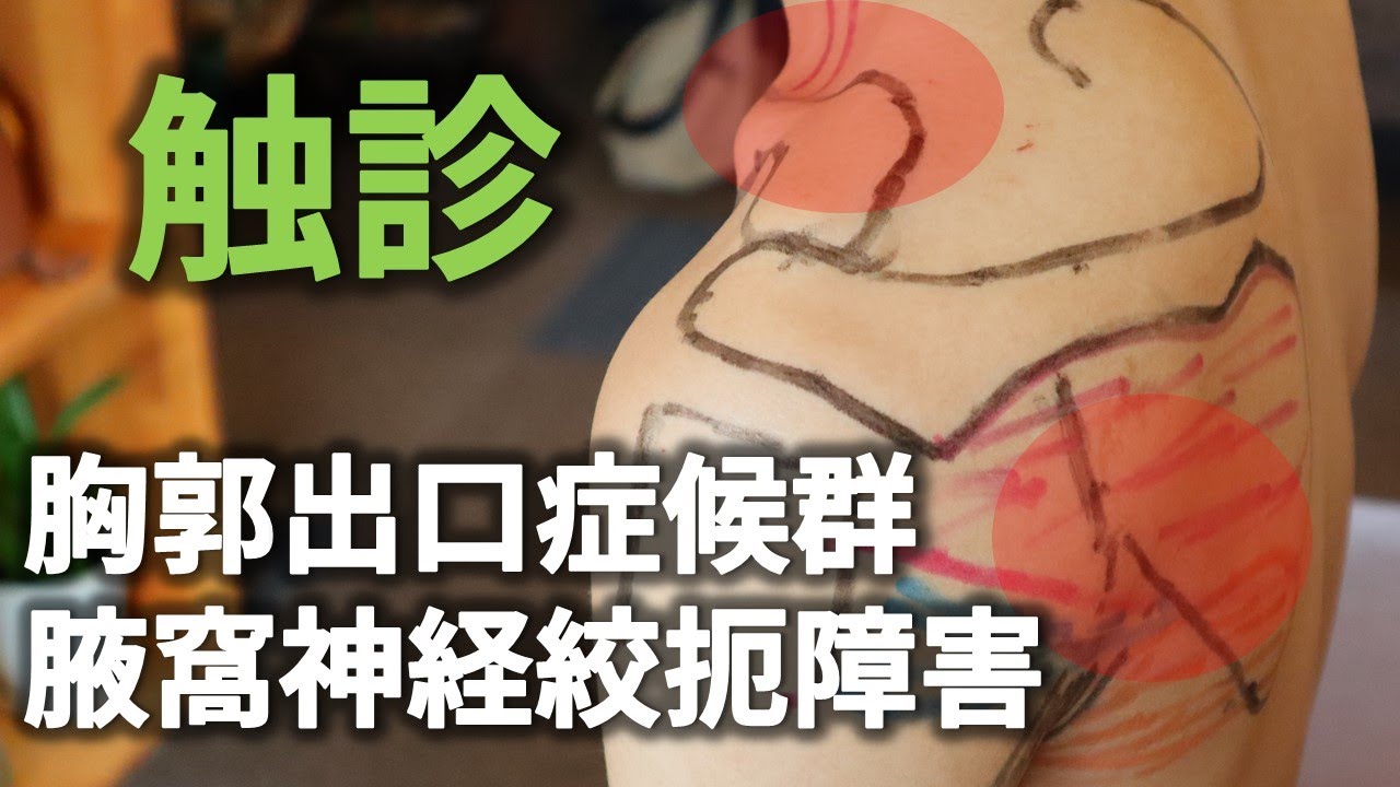 『胸郭出口症候群』と『腋窩神経絞扼障害』に関係する筋・骨・神経の触診方法【筋肉・骨の触診】【長野市の整体Zen繕】