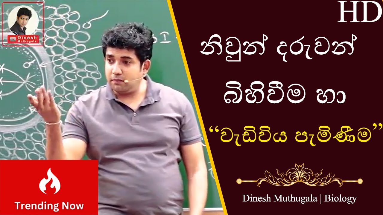 නිවුන් දරුවන් බිහිවීම හා යෞවනෝදය | Dr.Dinesh Muthugala | #dineshmuthugala  #muthugalasir #biokuppiya