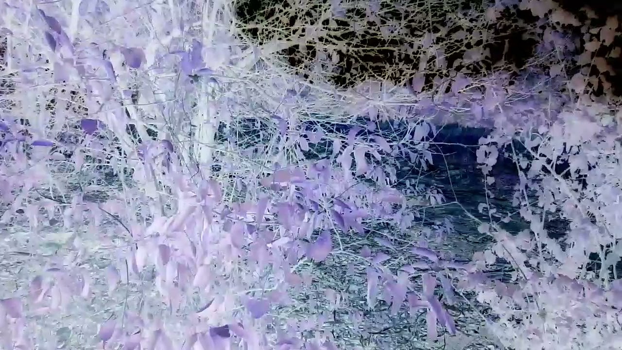 Blue planet