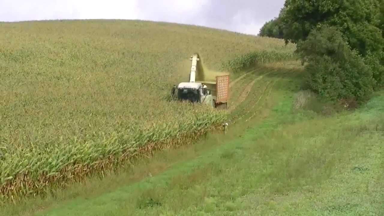 maisernte 2011