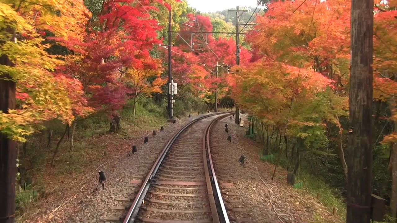 もみじのトンネル（2019/11/19撮影）