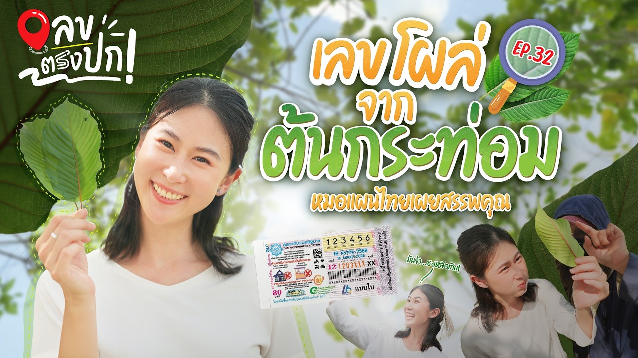 เลขโผล่จากต้นกระท่อม! ซูมชัด หมอแผนไทยเผยสรรพคุณ | เลขตรงปก EP.32