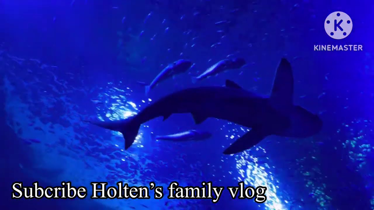 Sevilla Aquarium with Holten family