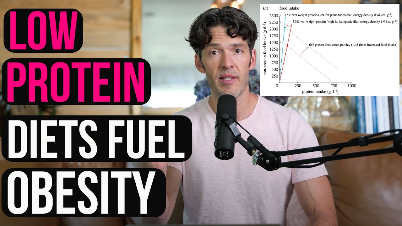 Low Protein Diets Are Fattening