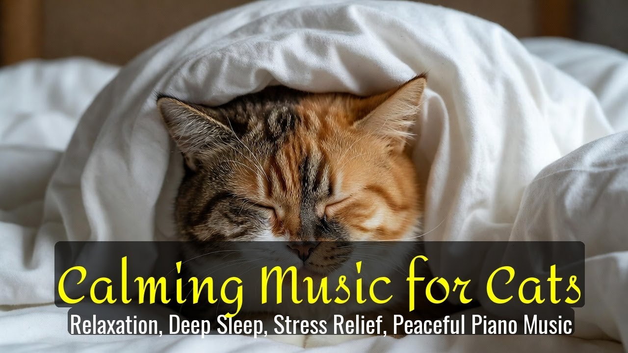 Calming Music for Cats - Relaxation, Deep Sleep, Stress Relief, Peaceful Piano Music | Season 38