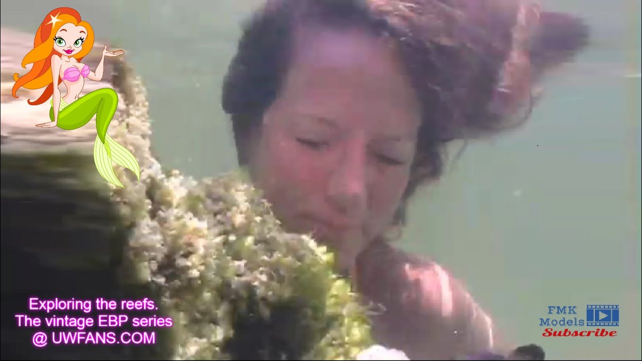 Exploring the reefs underwater