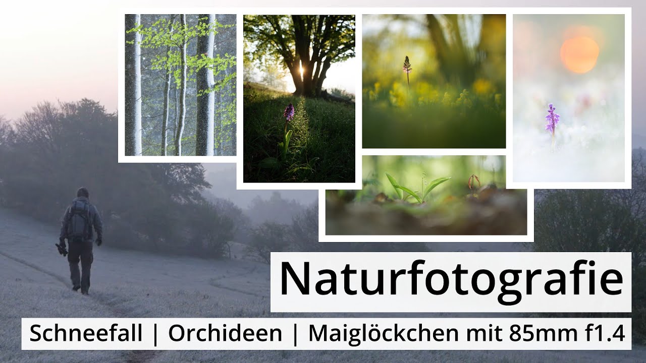 Naturfotografie: SCHNEEFALL | ORCHIDEEN | Maiglöckchen mit 85mm f1.4 | Noch mehr ORCHIDEEN
