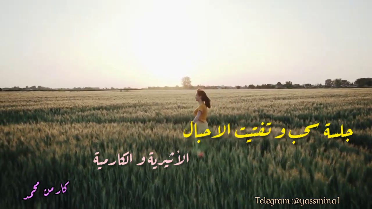 جلسة سحب و تفتيت الأحبال الأثيرية و الكارمية - الاحبال الأثيرية