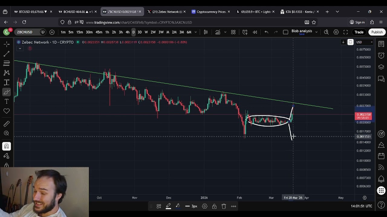 Прогноз цен на акции ZBCN Zebec на 20 марта