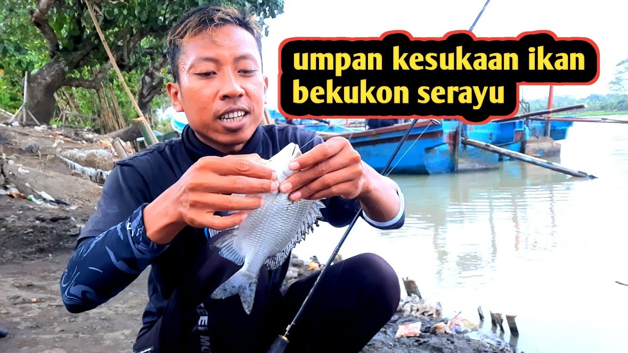 Mancing bekukon serayu cilacap pakai umpan andalan