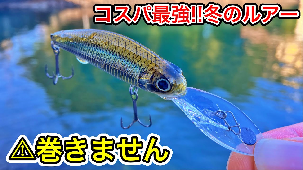 冬のデカバスが釣れる！コスパ最強ルアーのズル引きが簡単で根掛かりしないのでバス釣り初心者さんにもおすすめ！（CCプレデター）