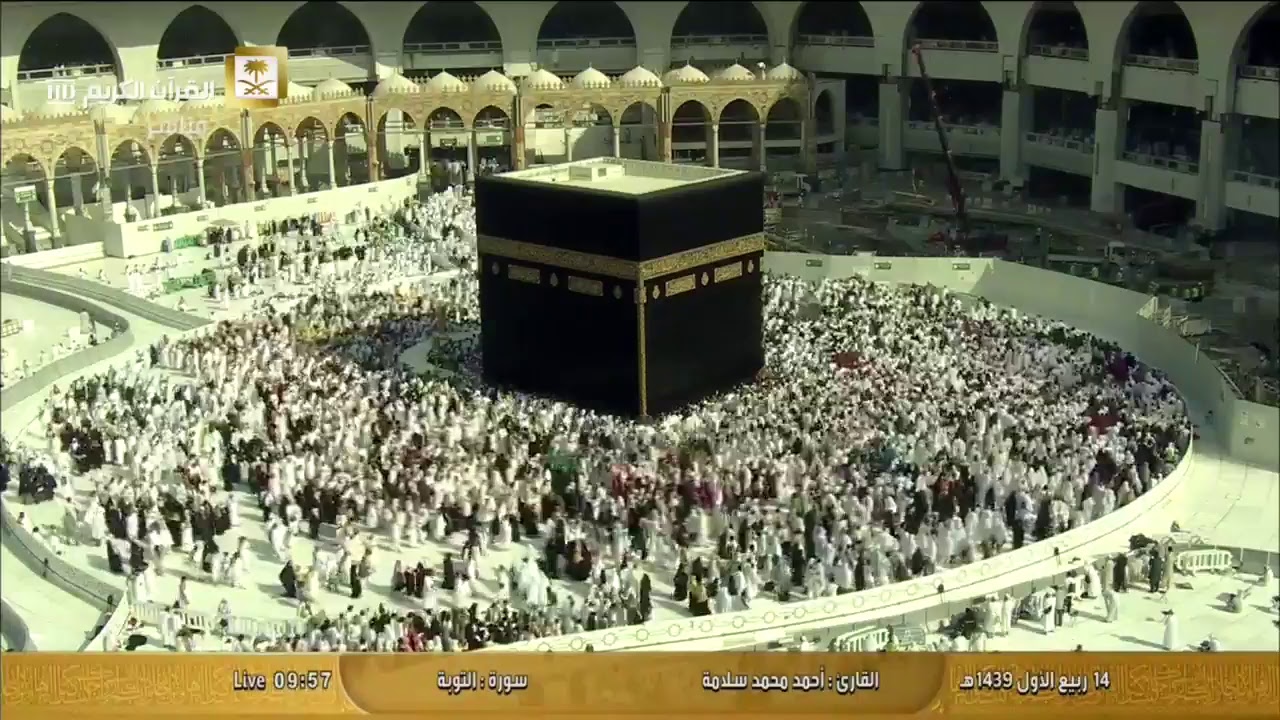 قناة القرآن الكريم -  بث مباشر