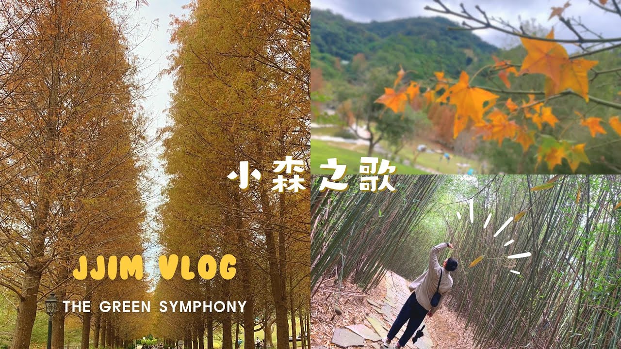 ╭郊遊vlog╮新竹半日遊芎林◅小森之歌▻美美落羽松/新竹景點/2023/Hsinchu Tourist/郊遊/踏青/我的休假日/野餐拍照好去處