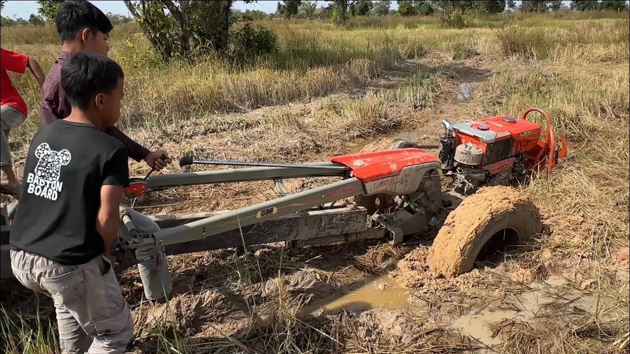 Drive the car and plow into the rice fields on the road #funny #foryou #fun #facts 