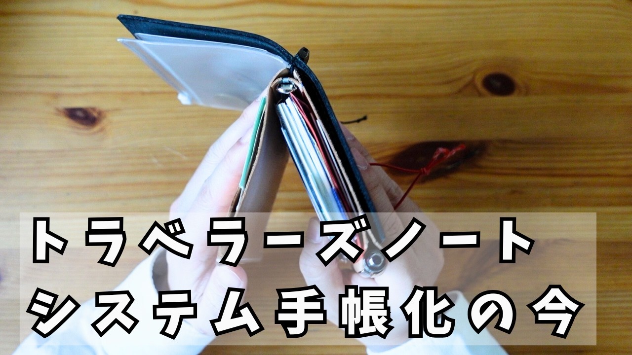 【手帳の中身セーブ録】トラベラーズノートをシステム手帳化して財布とデイリーログにしてる