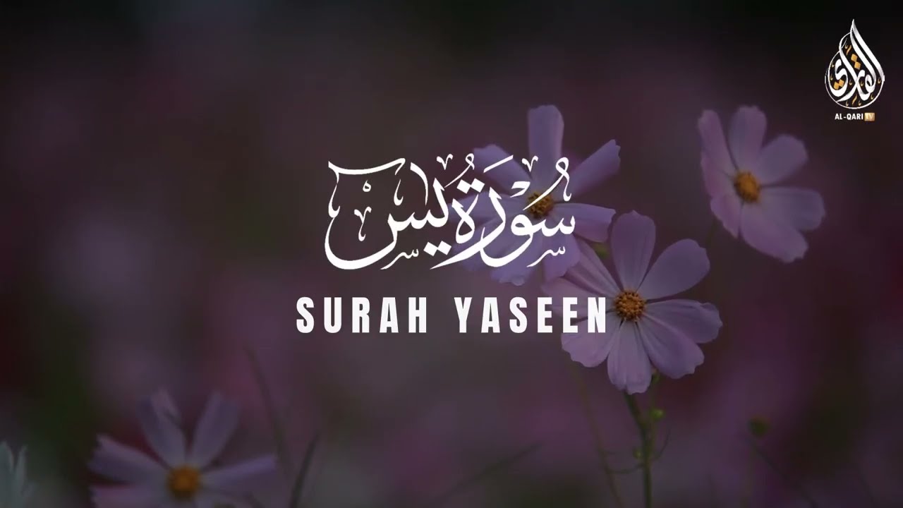 Surah Yaseen with English Subtitles | Cure for Heart, Soul & Life | Powerful Quran Recitation