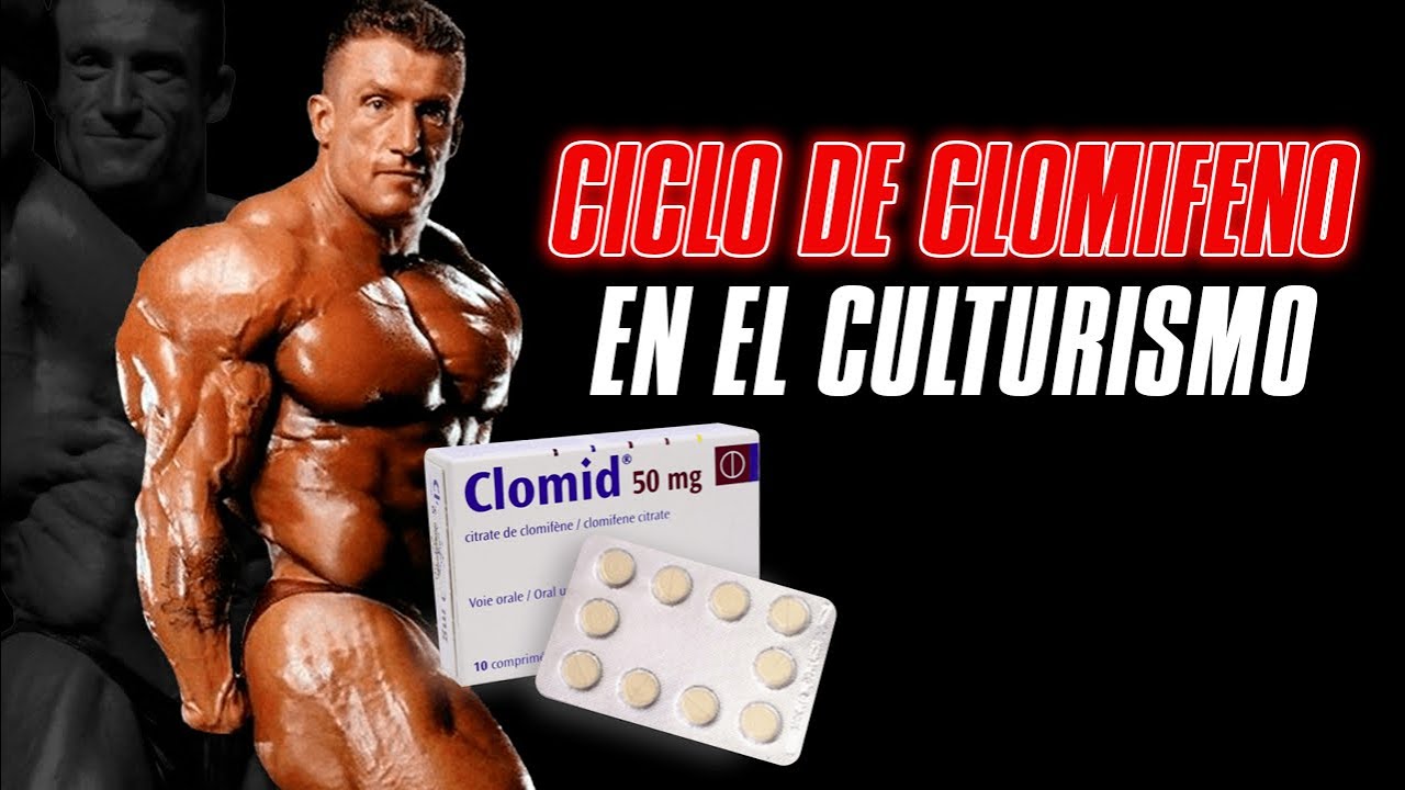 EL CICLITO DE CLOMIFENO