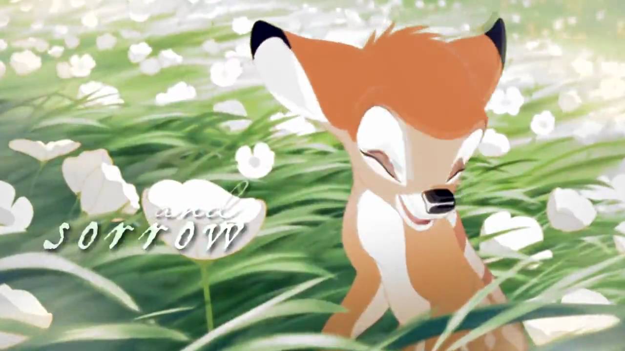 Animash ~ Перышко || Little Feather