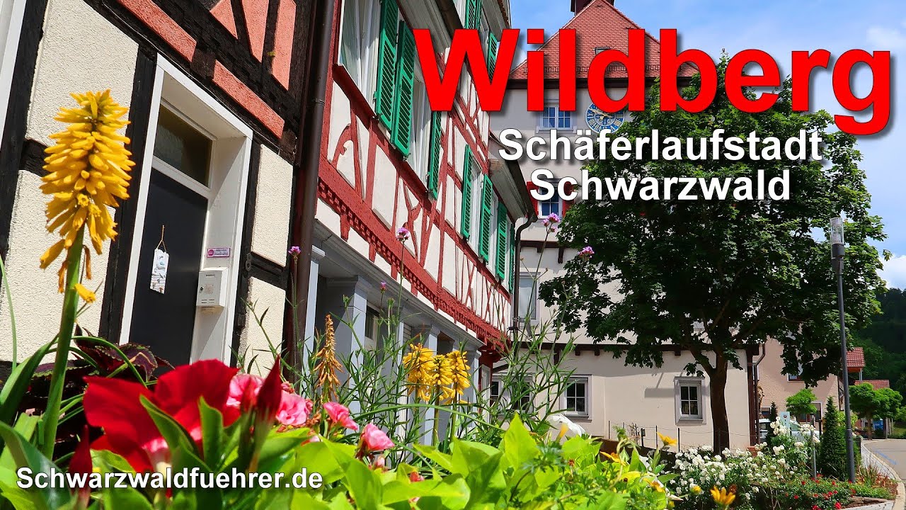 Schäferlaufstadt Wildberg