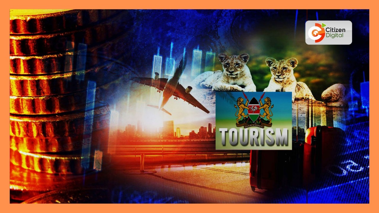 Tourism rebounds, numbers near 3 million as resilience drives growth