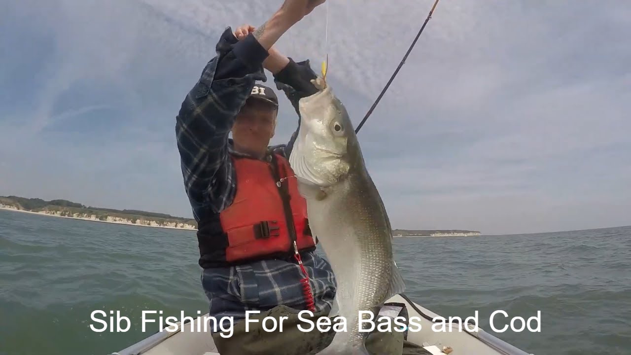 Kit's Fishing Adventures #20 SIB Fishing for Bass, Cod and Sand eel