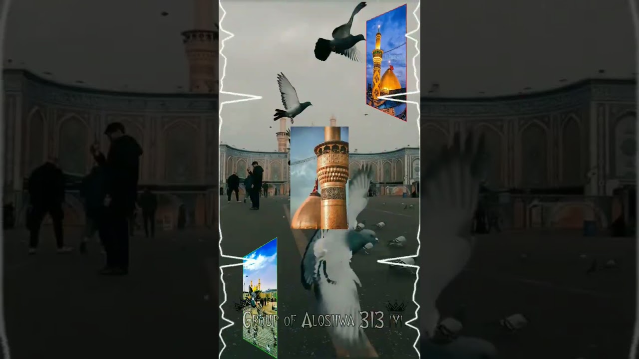 Saiyedo Ki Maa Hai Fatimah🥰❤