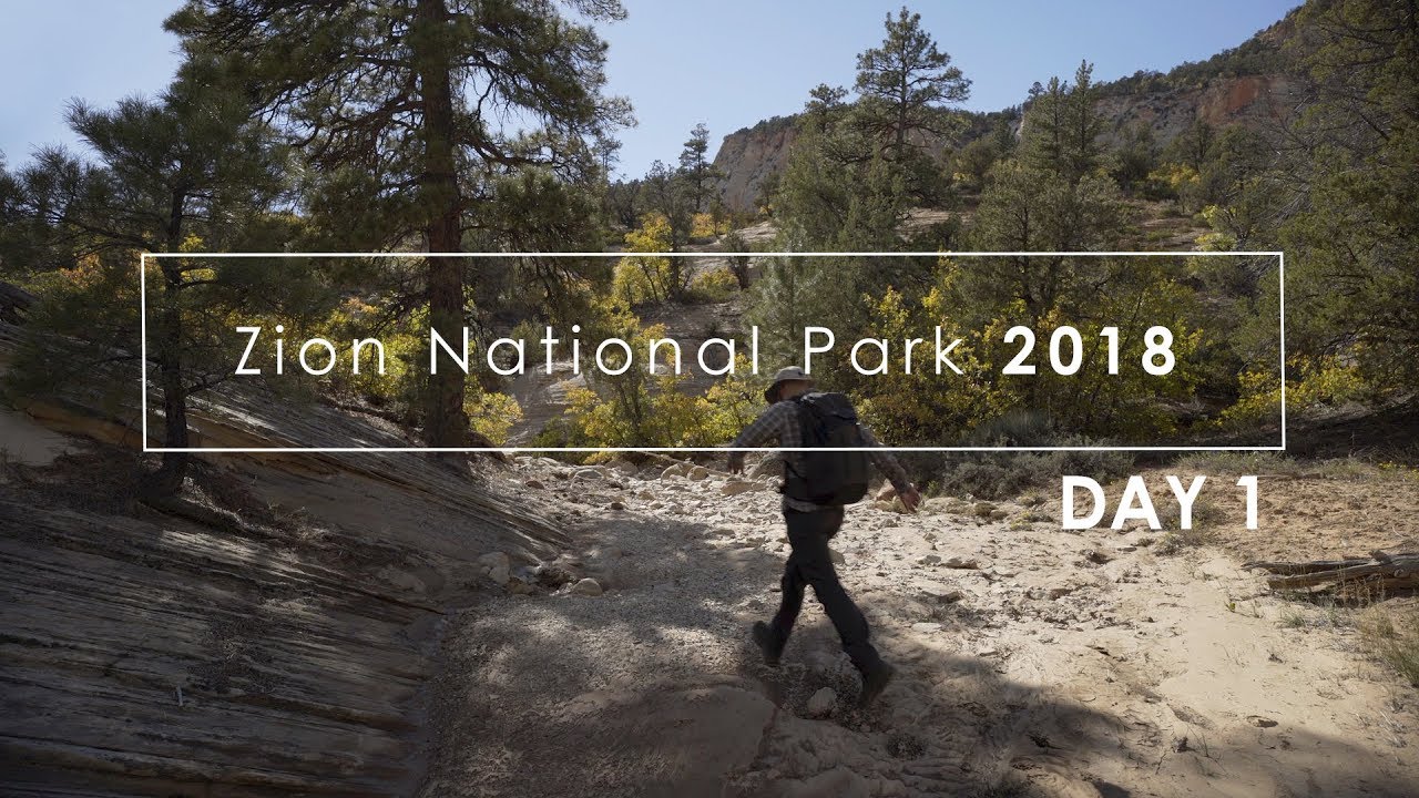 Zion Fall 2018: (Day 1) Analog Landscape Photography in Zion