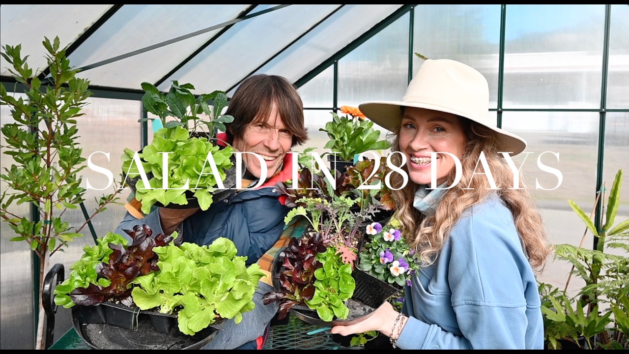 Salad in 28 days!  🌱  Quick, Easy and Homegrown! ☘️