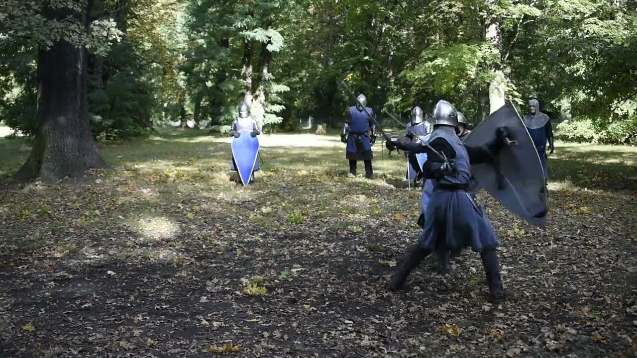 Schaukampf Training