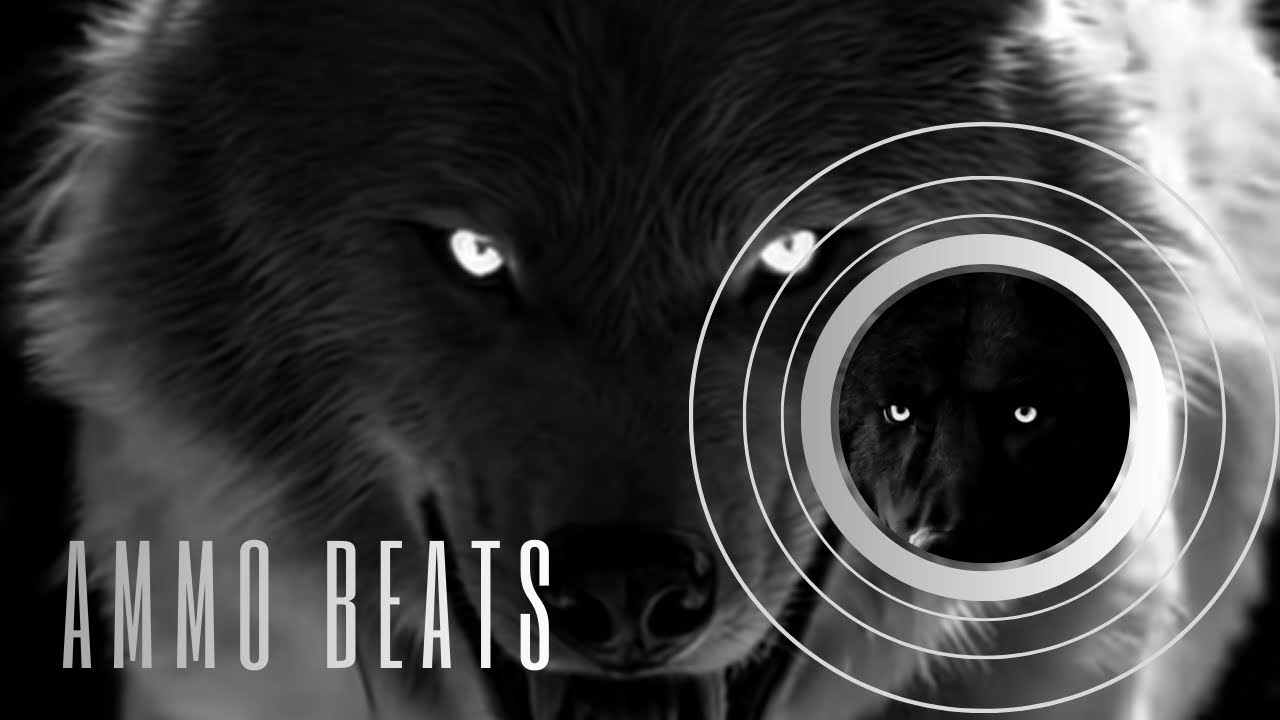 Dogs [AMMO BEATS]