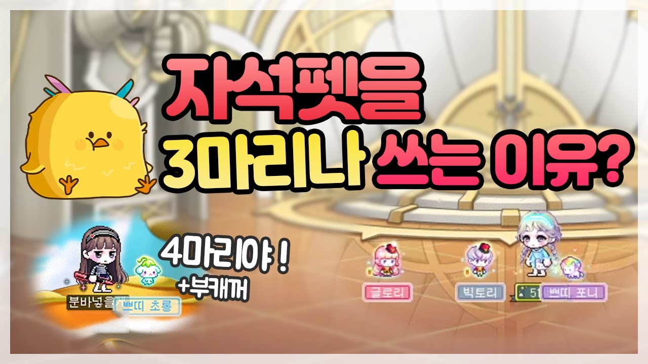 자석펫은 너무 비싼데.. 꼭 사야할까요? 한번 알아봅시다 !! [ 메이플스토리, 자석펫, 오일새 ]