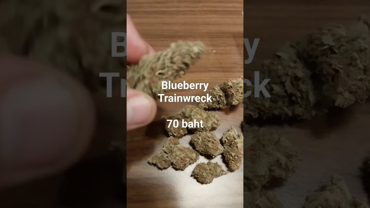 Blueberry train wreck organic #thailand #chiangmai #hemp #420 #710 #livingsoil #mmj