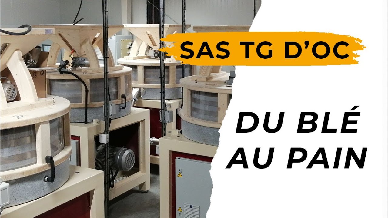 Du pain traçable de l'épi à la baguette - www.moulinsalmapro.com