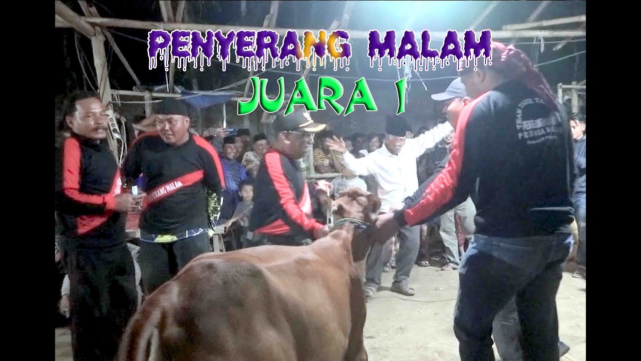 GRAND FINAL BERLANGSUNG SERU KAWAN PENYERANG MALAM VS SELOR MUDA | PENYERANG MALAM JUARA 1