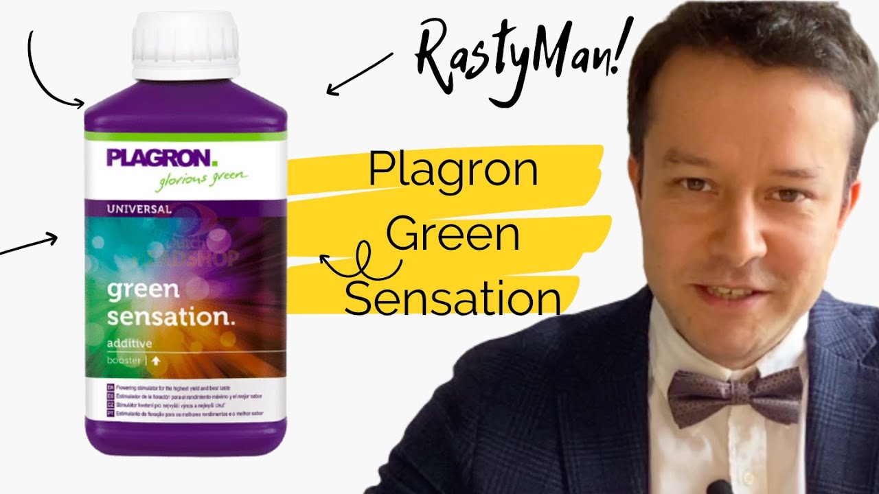 Plagron Green Sensation, добавь это для МЕГА урожая!
