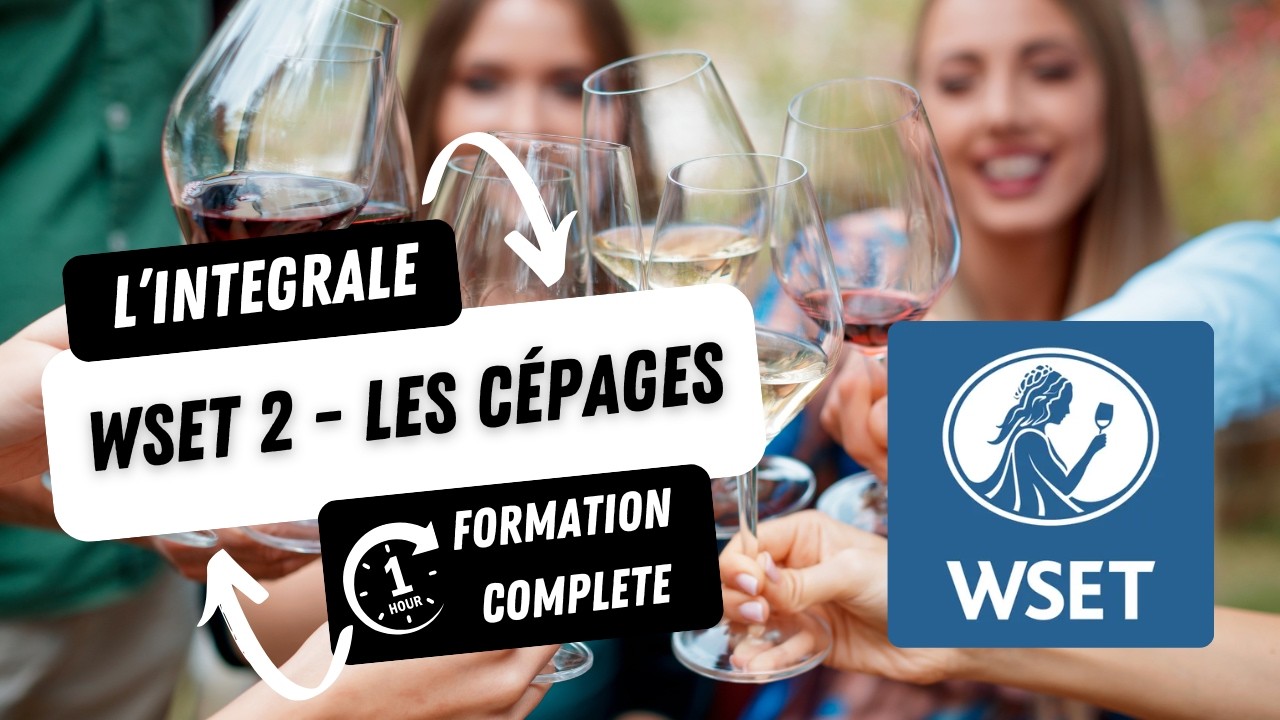 WSET2 - Formation complète en ~1H (Tous les cépages sans générique)