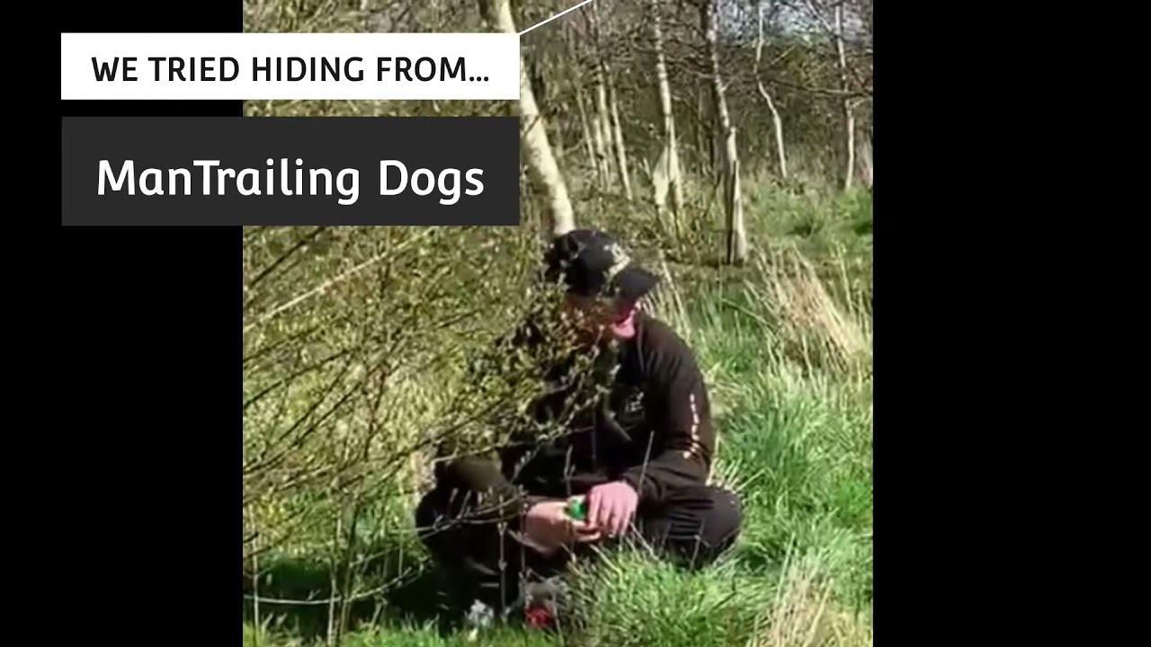 Mantrailing dogs