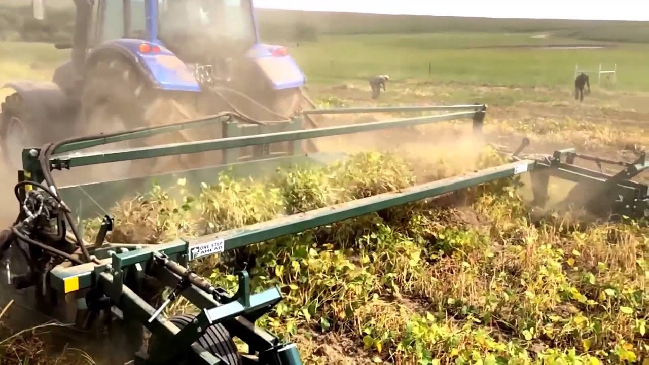 Dry bean digger - windrower | Sweere