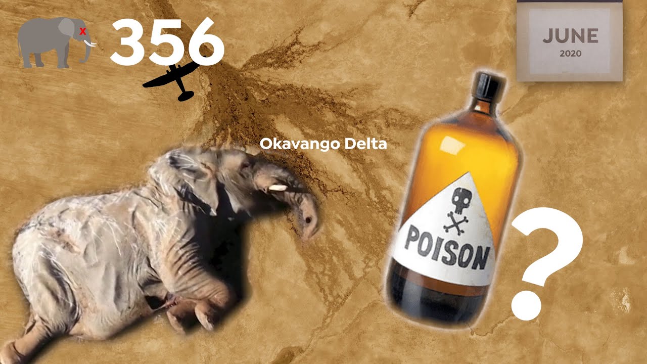 What Killed the Elephants in Botswana?