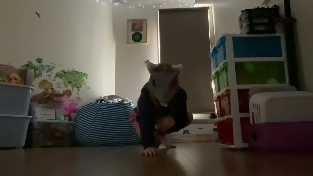 Haunted footage ￼of a Therian