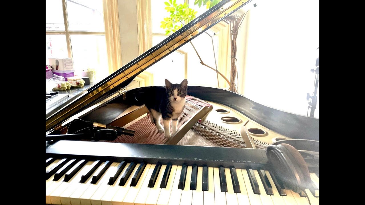 Live improvised music from our Living Room (June 16th, 2024)