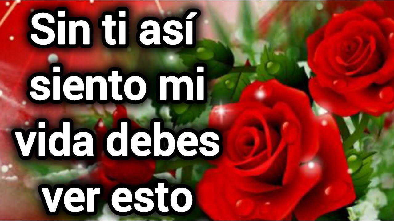 Sin ti así siento mi vida debes ver esto