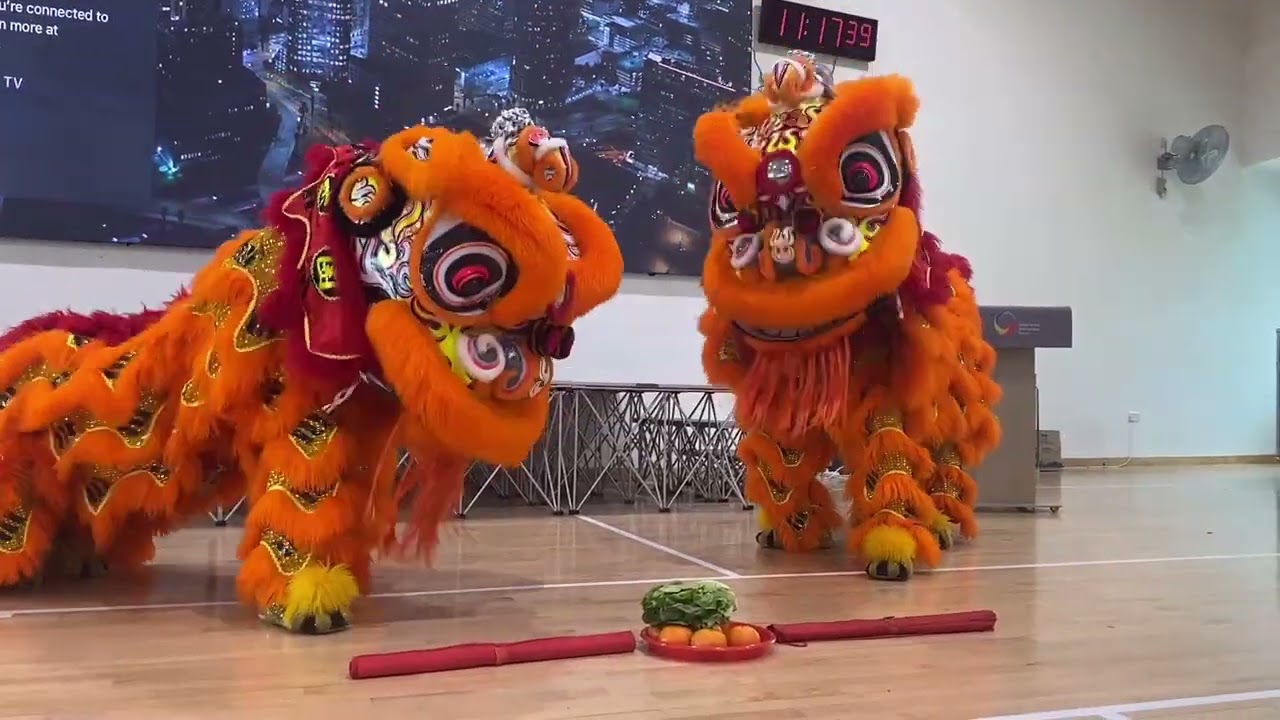 Lion dance #liondance #chinesnewyear #singapore #fun #traditionaldance