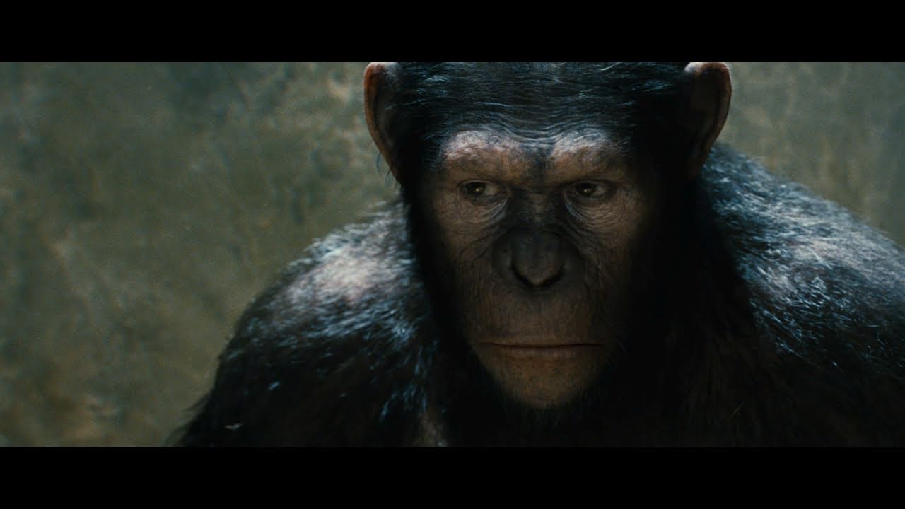 Planet der Affen: Prevolution - Trailer 1 (Full-HD) - Deutsch / German