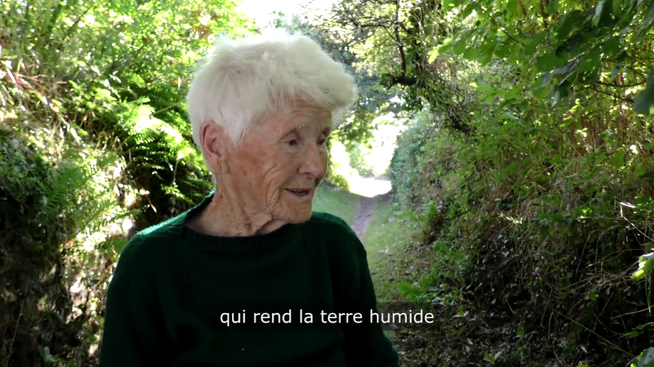 Tro dro dit : filmoù e brezhoneg evit deskiñ yezh bro Kemperle