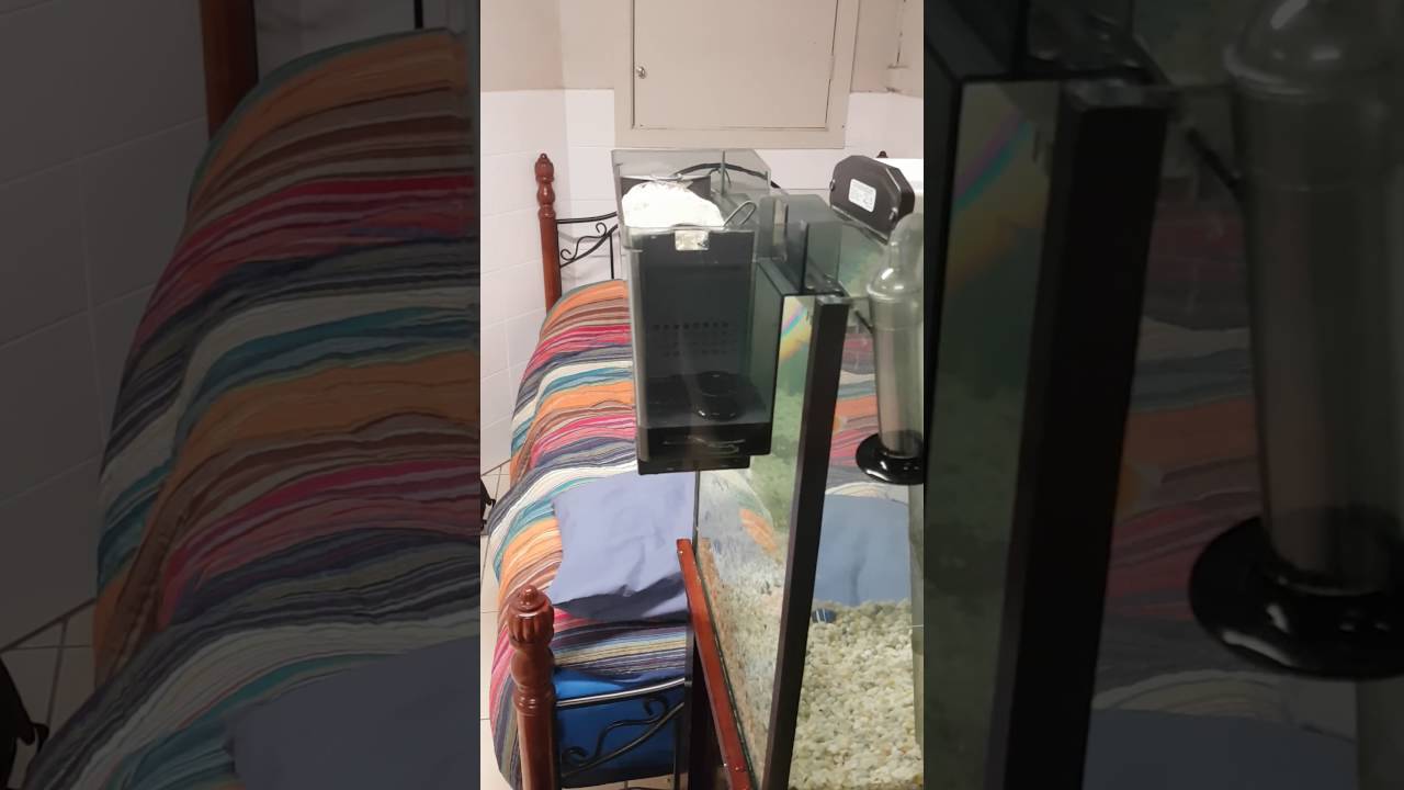 Aquaclear 110/500 Noise Solution/Review