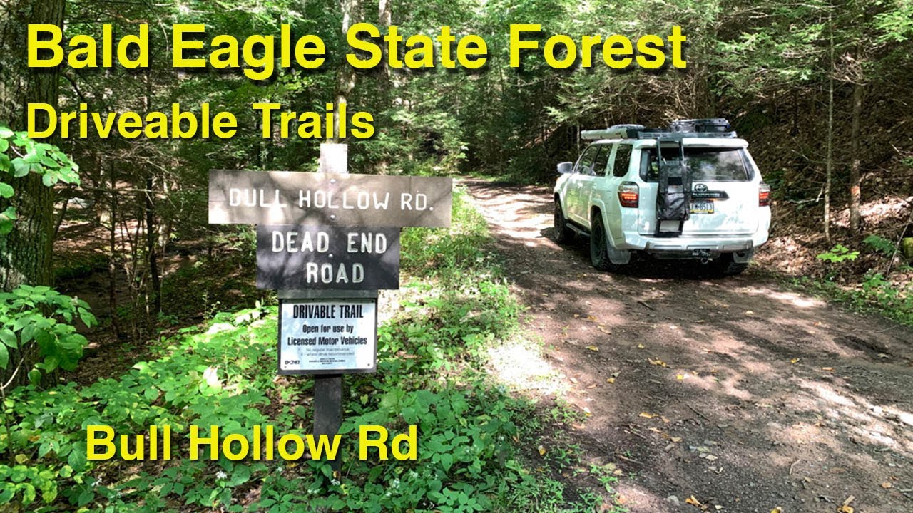 Bald Eagle State Forest Drivable Trails - Bull Hollow Road