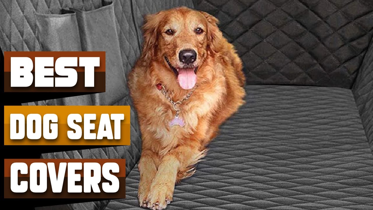 Best Dog Seat Cover In 2026 - Top 10 Dog Seat Covers Review