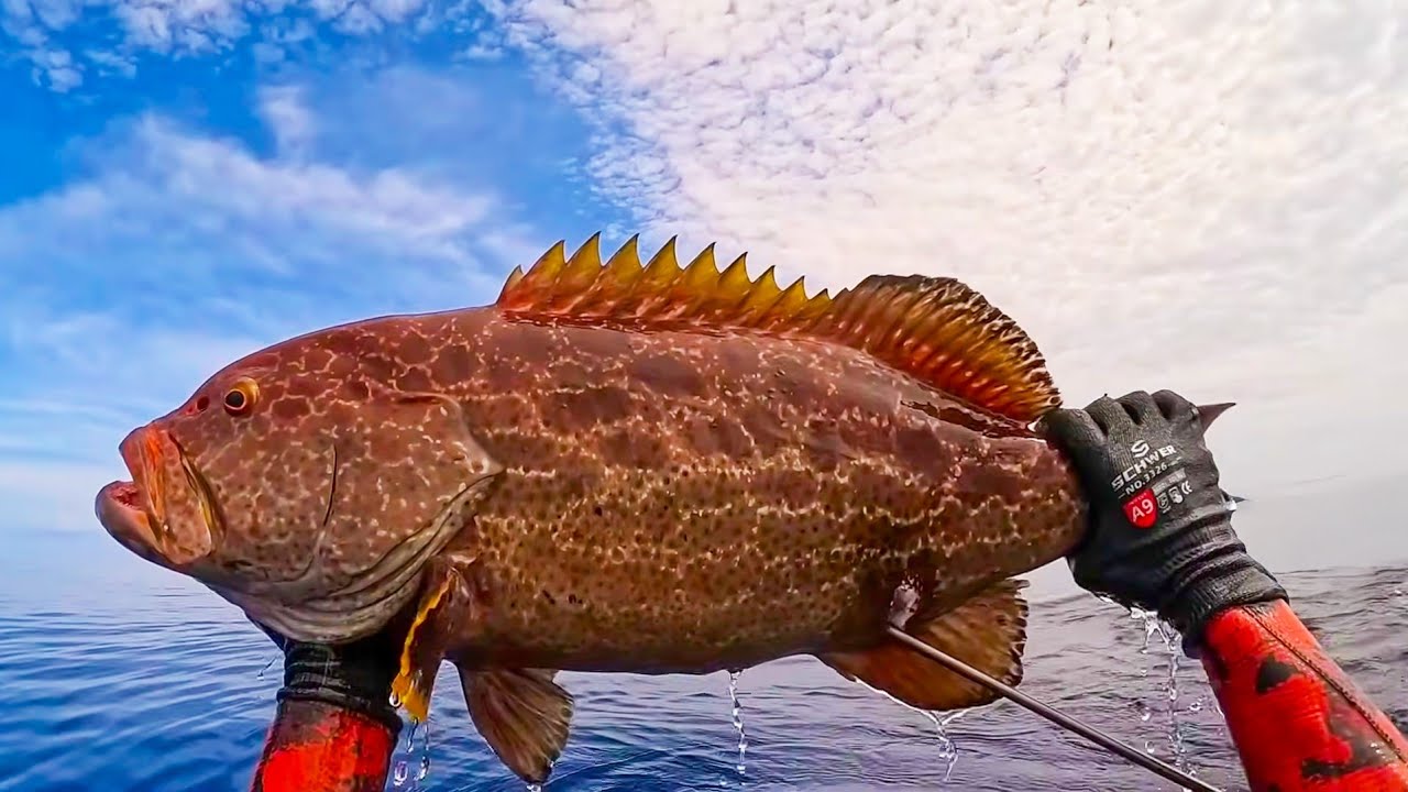 Pescando un poco más profundo (-30 mtrs Hermanos Silva )(Fishing a little deeper - 30 meters)